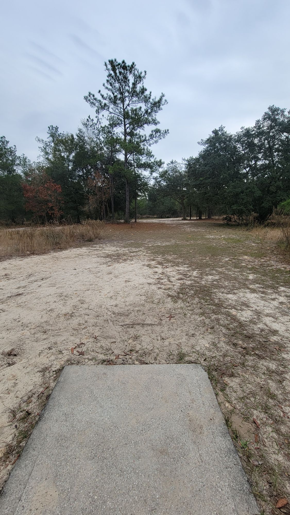 #21 Short pad