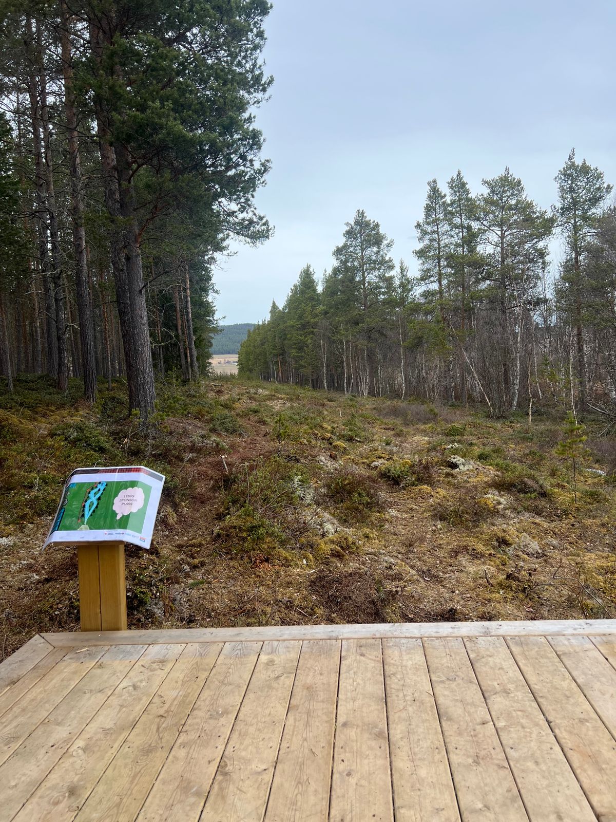 Utkast hull 11
OB linje skogkant venstre