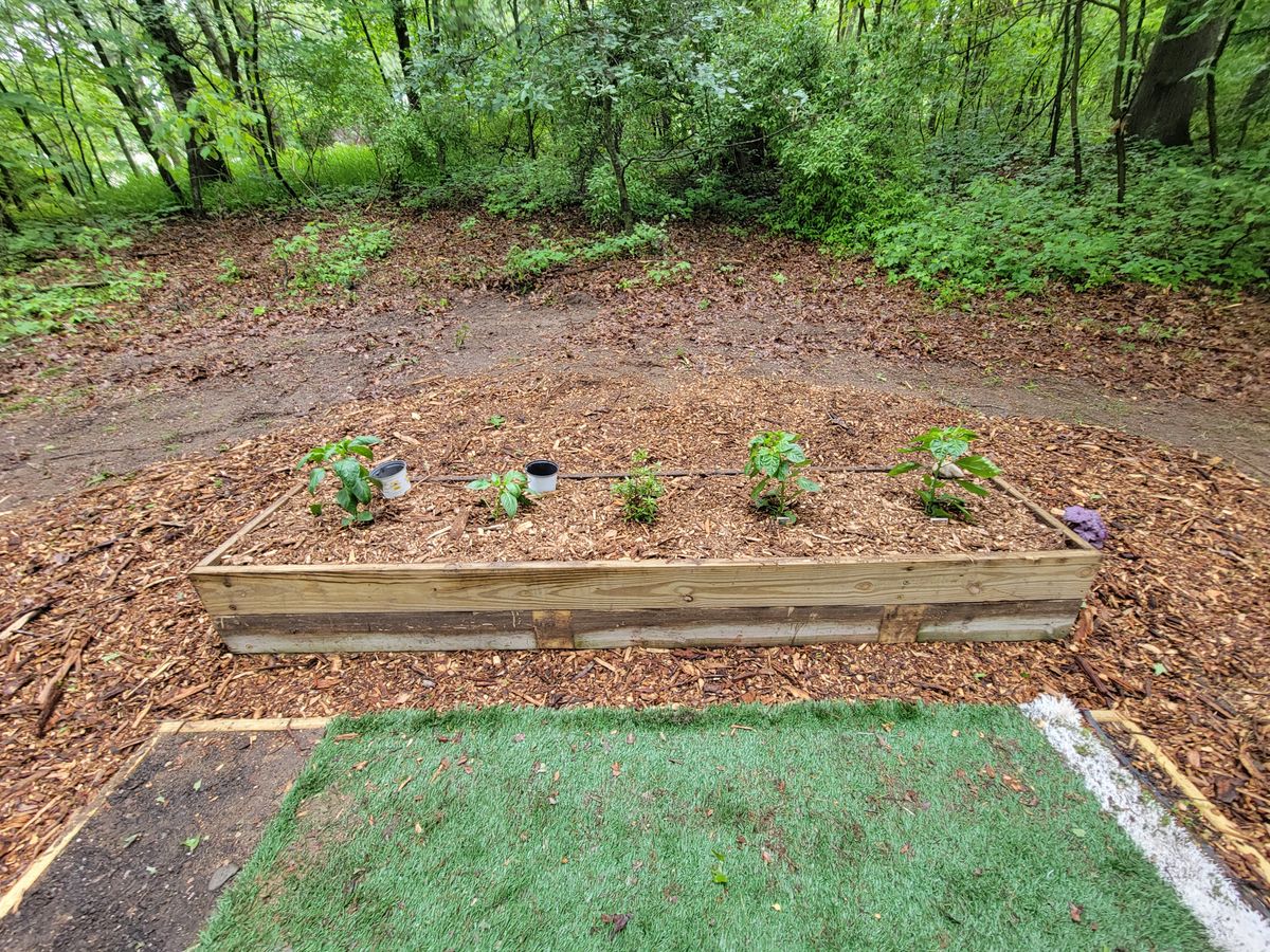Raised bed next to 4s tee