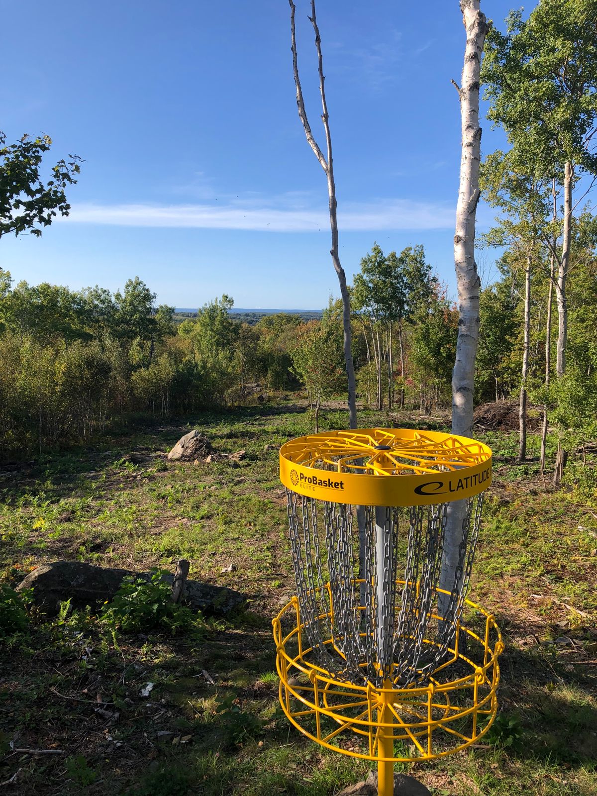 View back from 18 basket