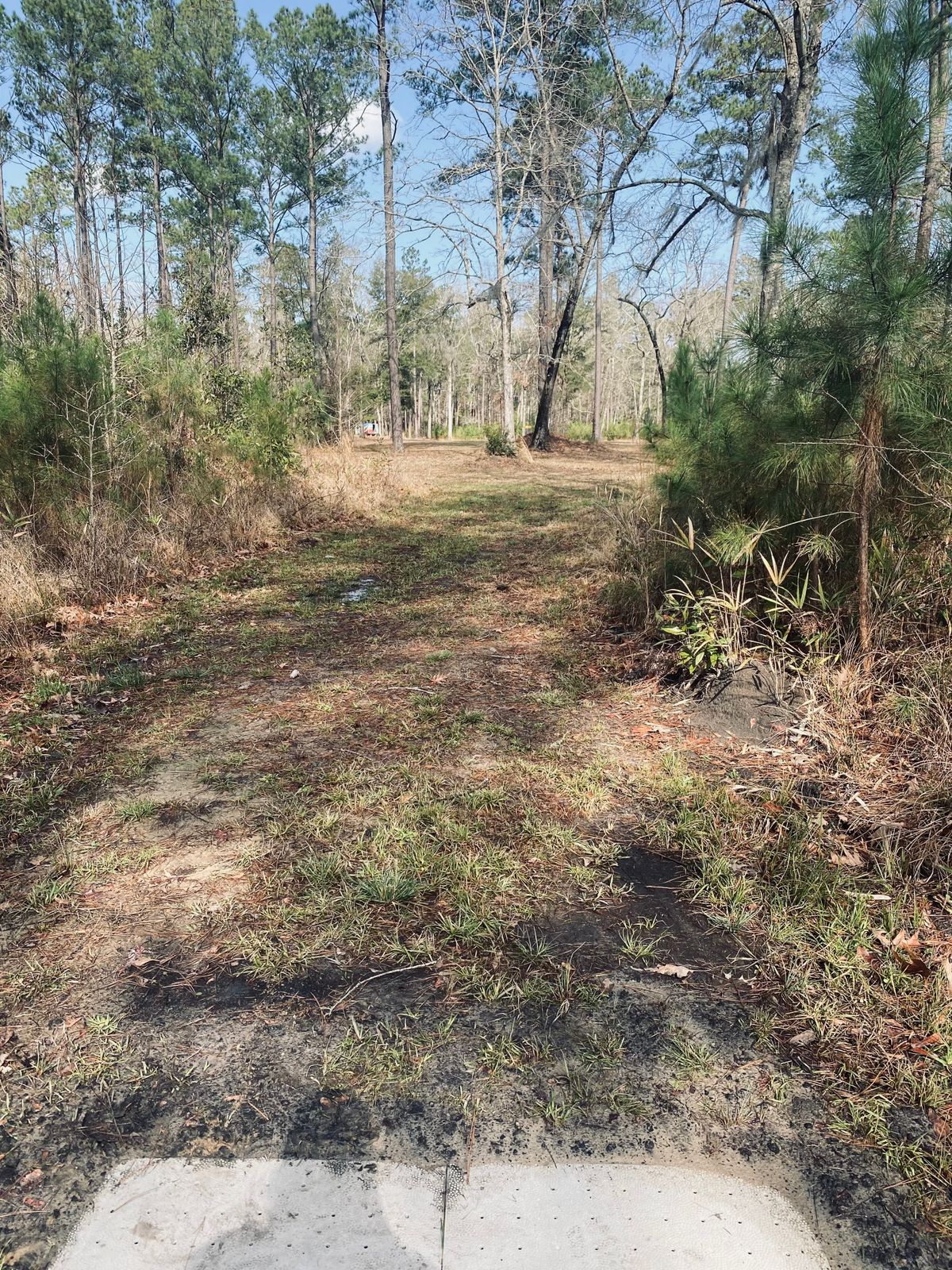Hole 6