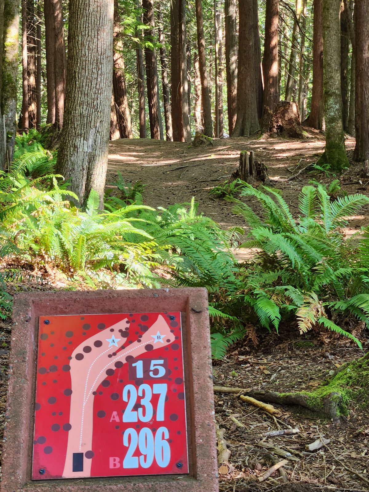 Hole 15 - Red Tee