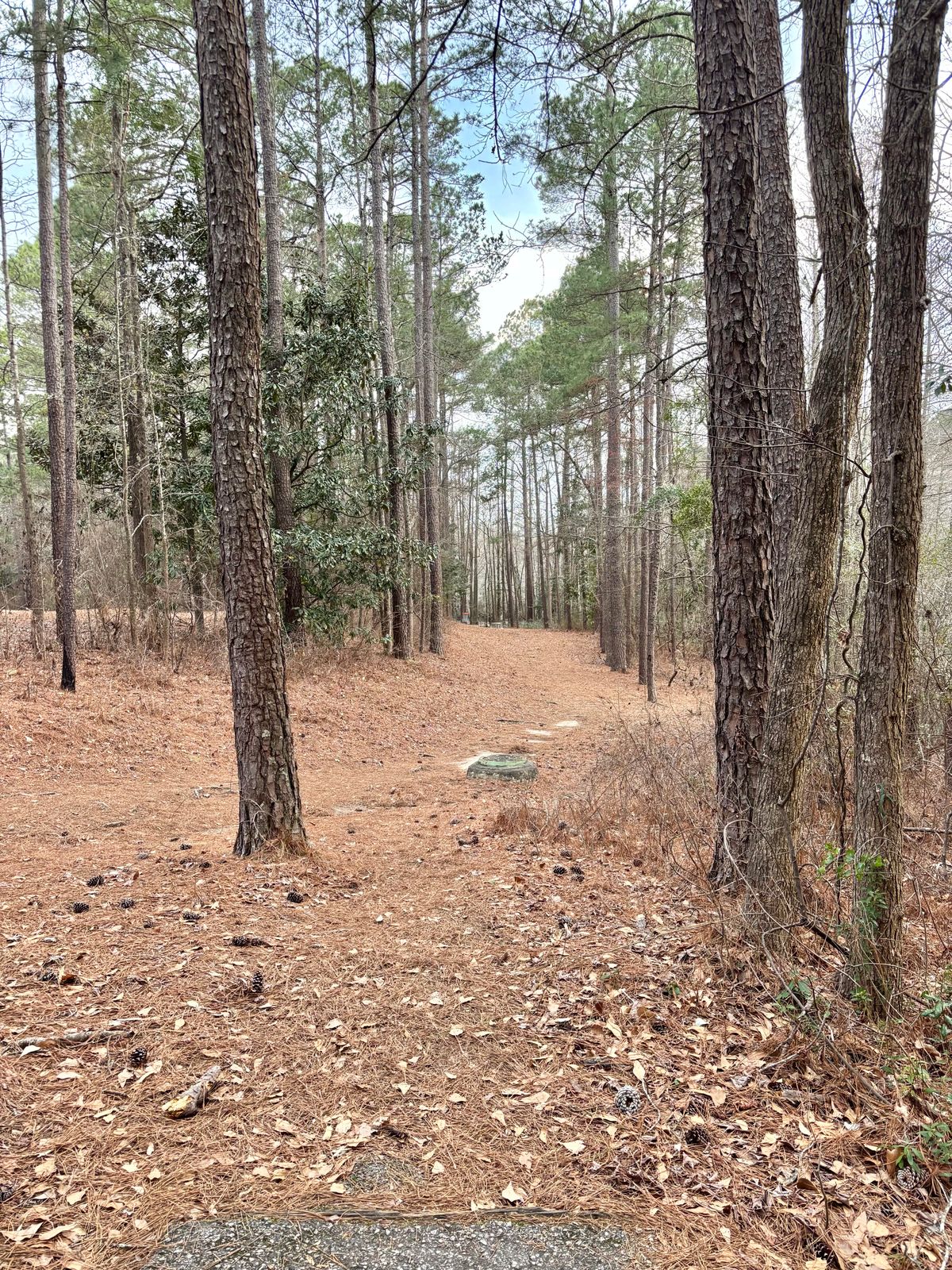 Hole 4 Tee