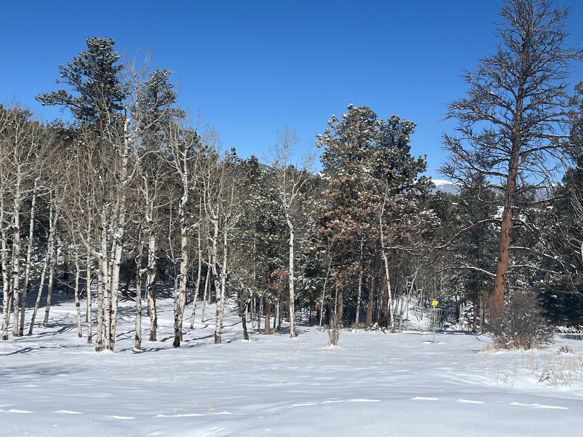 Bear mountain: freshest after 2” of snow!