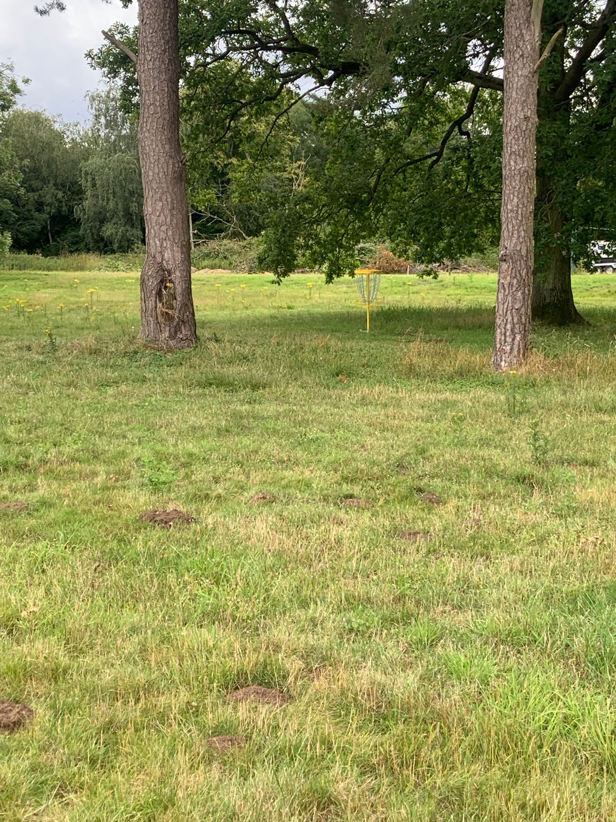 7th hole