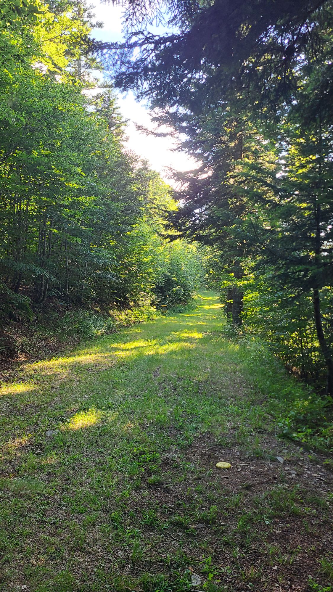 5 Débutant