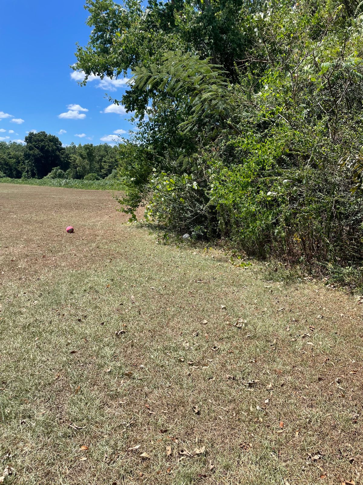 Hole 13