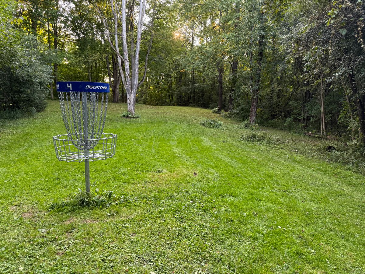 Hole 4 Basket to Tee