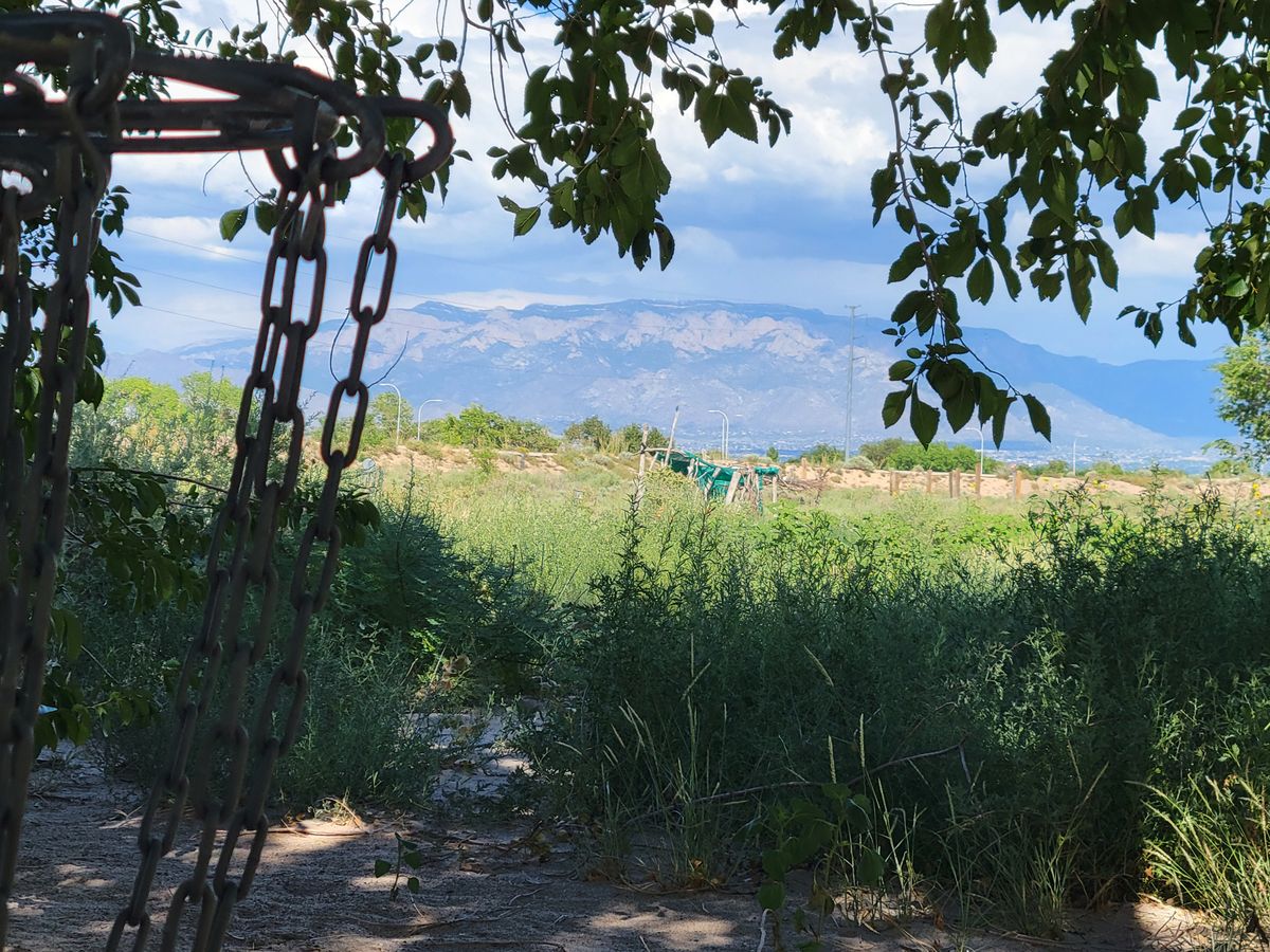Sandia Mountains from Ladera Old Damn Course