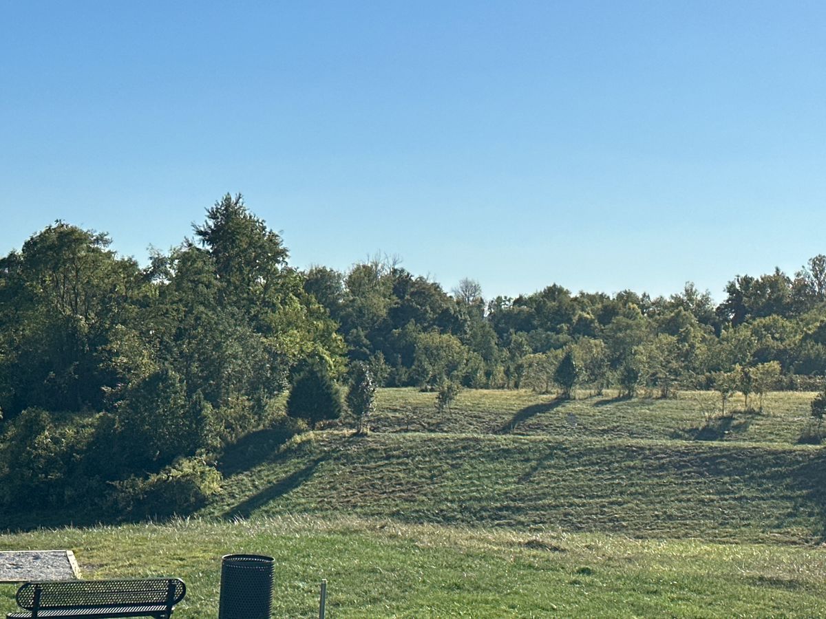 Hole 1 from tee