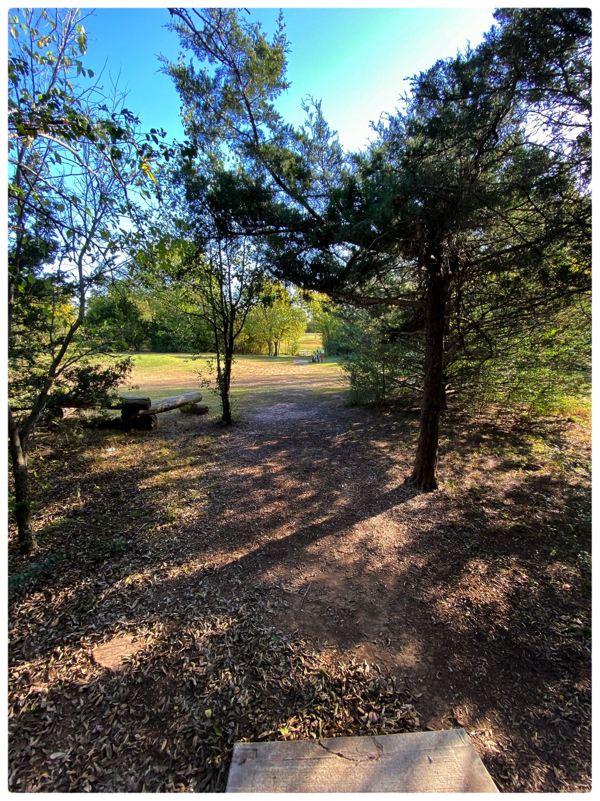 #15 main Tee- throwing east- Red tee is just ahead