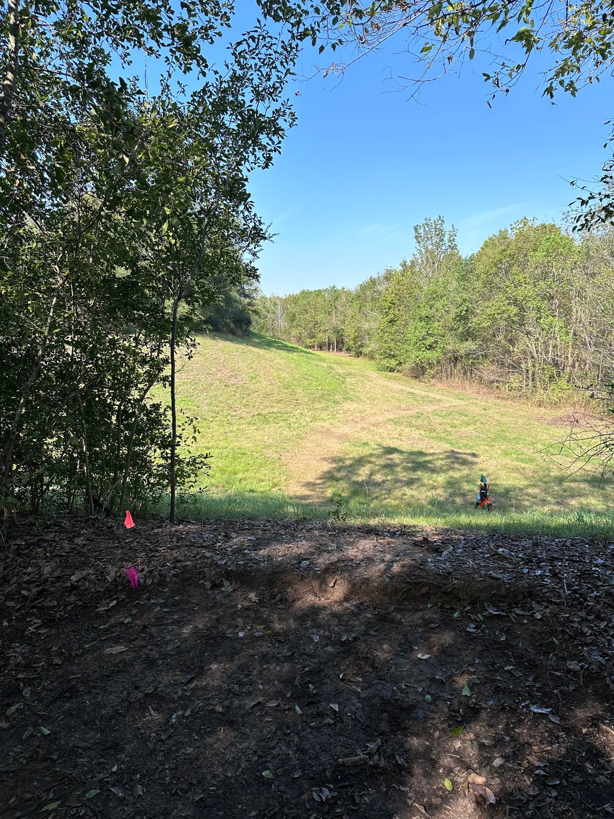 Hole 6 tee