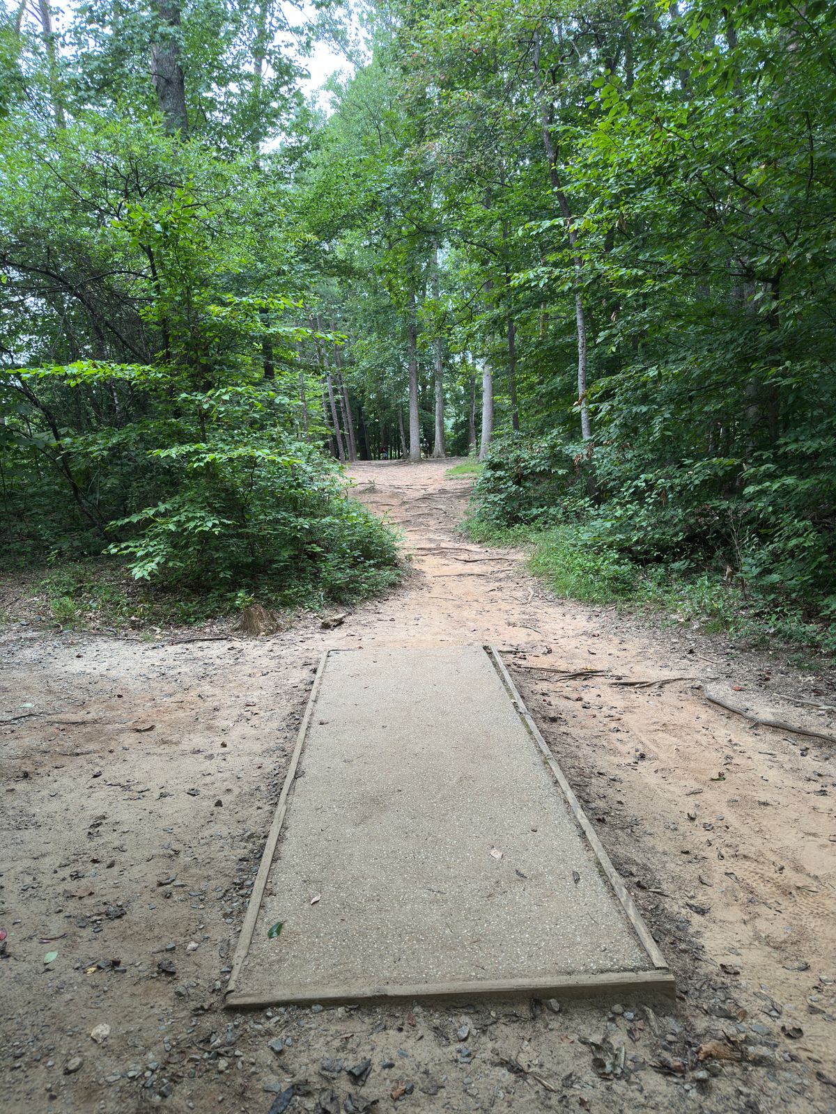 Hole 12 red tee