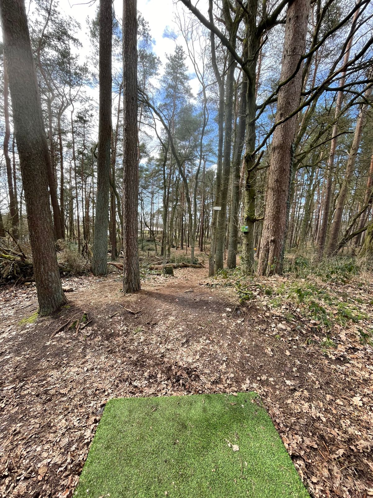 Hole 4