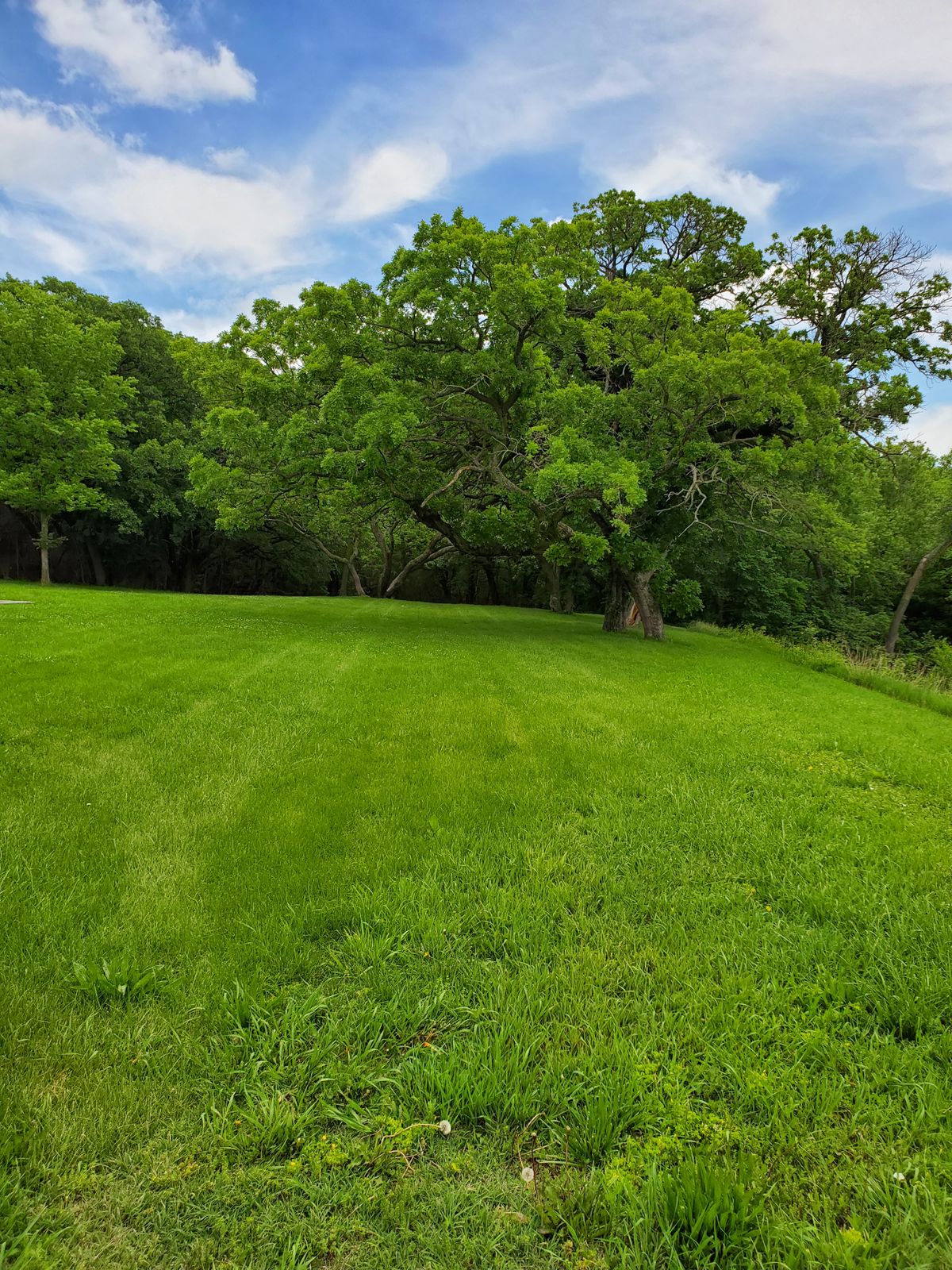 Hole 15