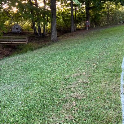 Hole #7 basket area.