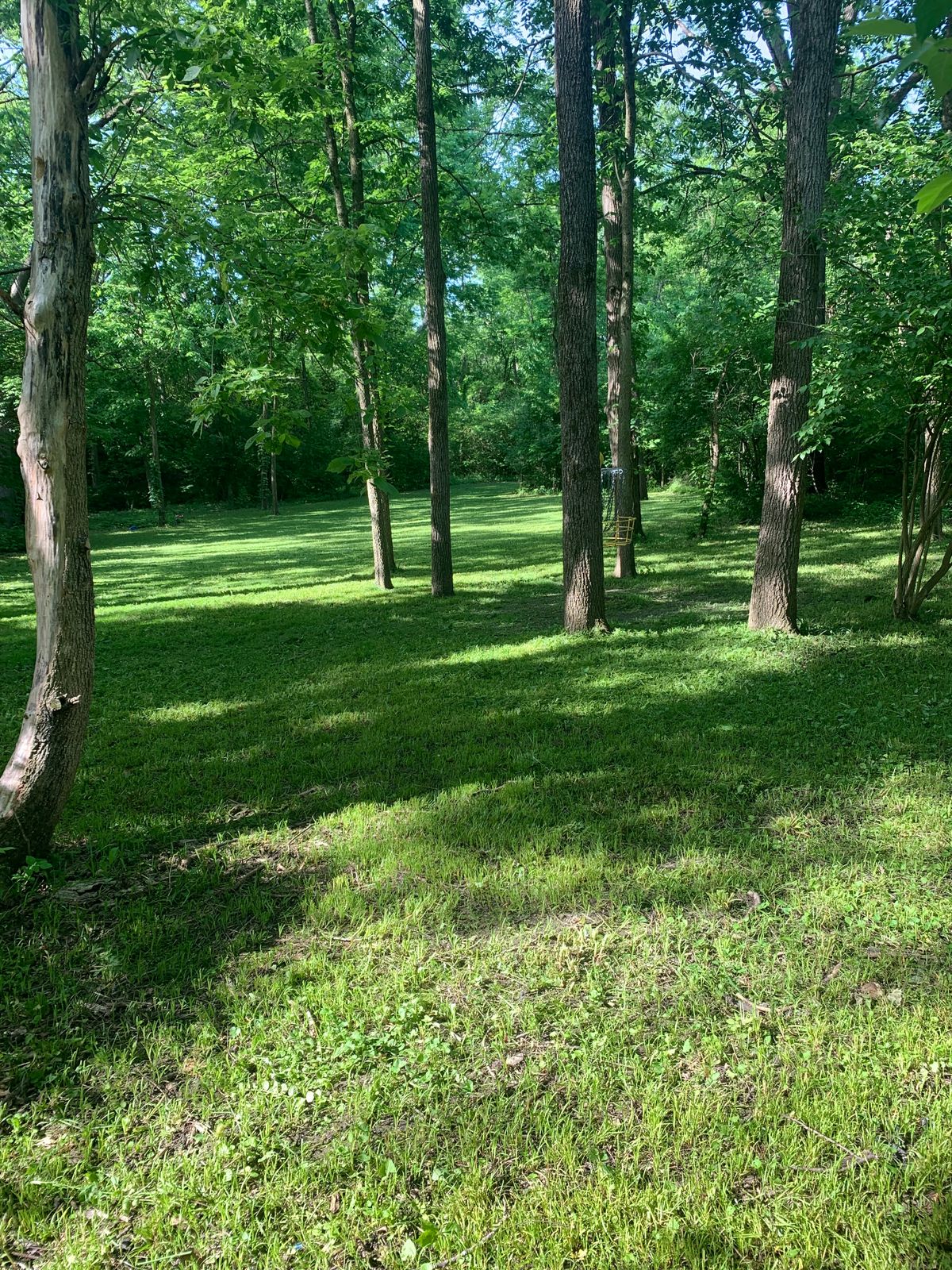 Behind basket view of hole 9