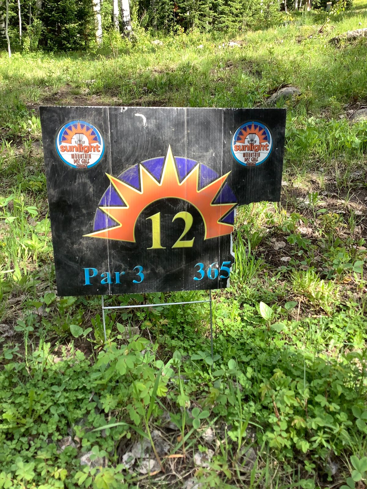 Hole 12 tee