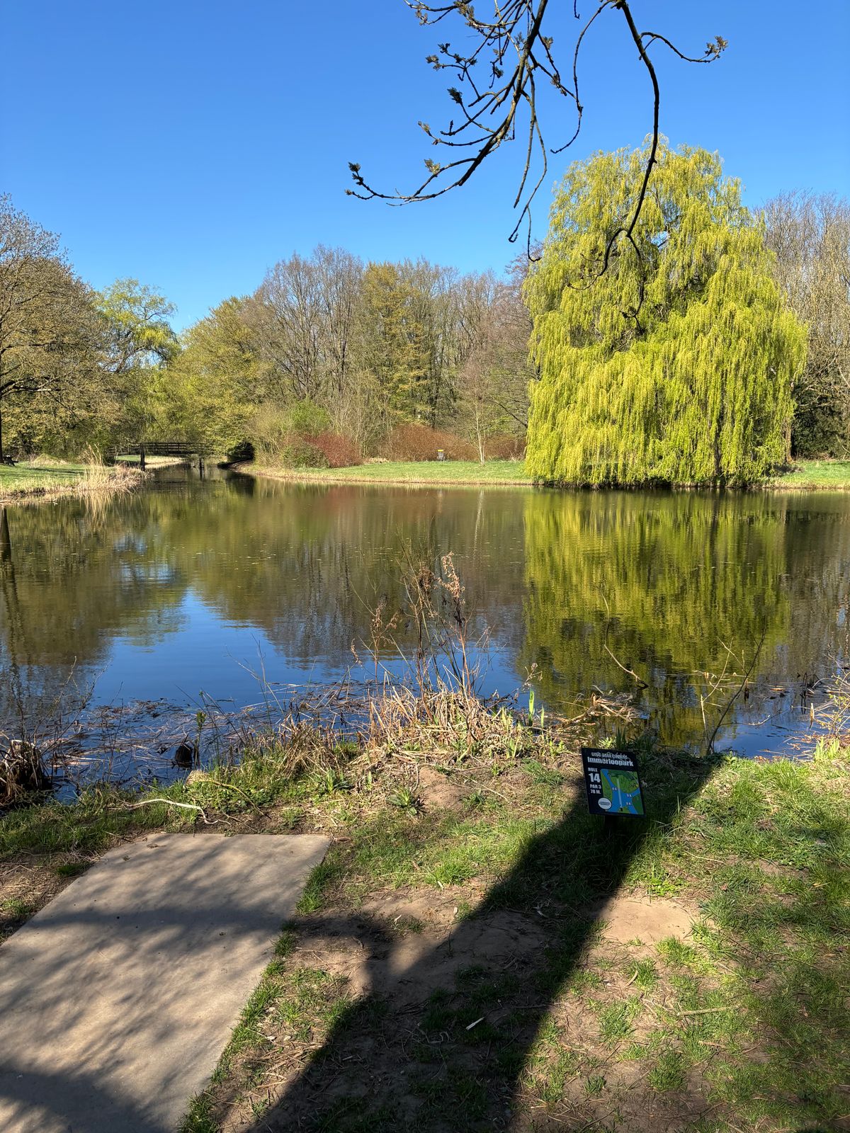 Long water carry on 14, with a large guardian willow. Such a fun, challenging hole.