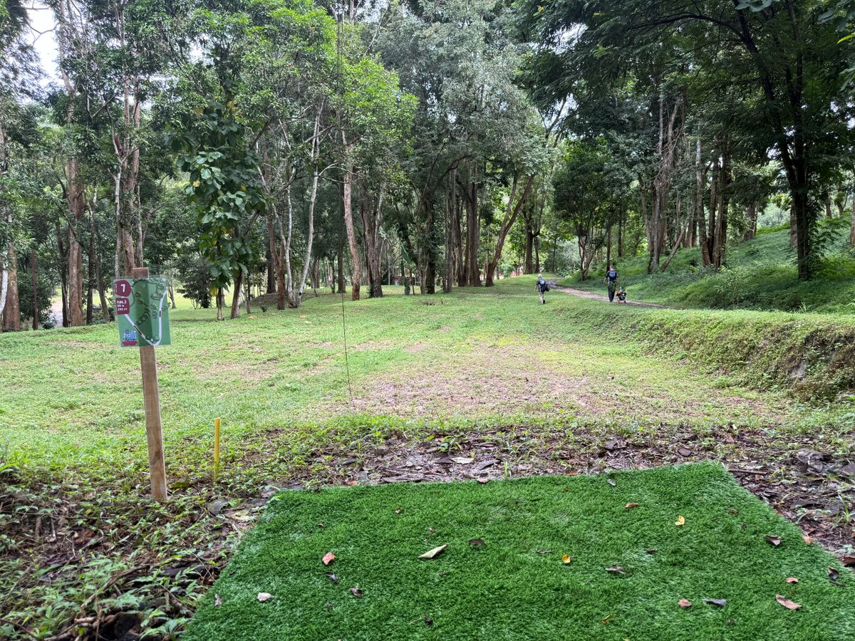 Hole 7 teepad area