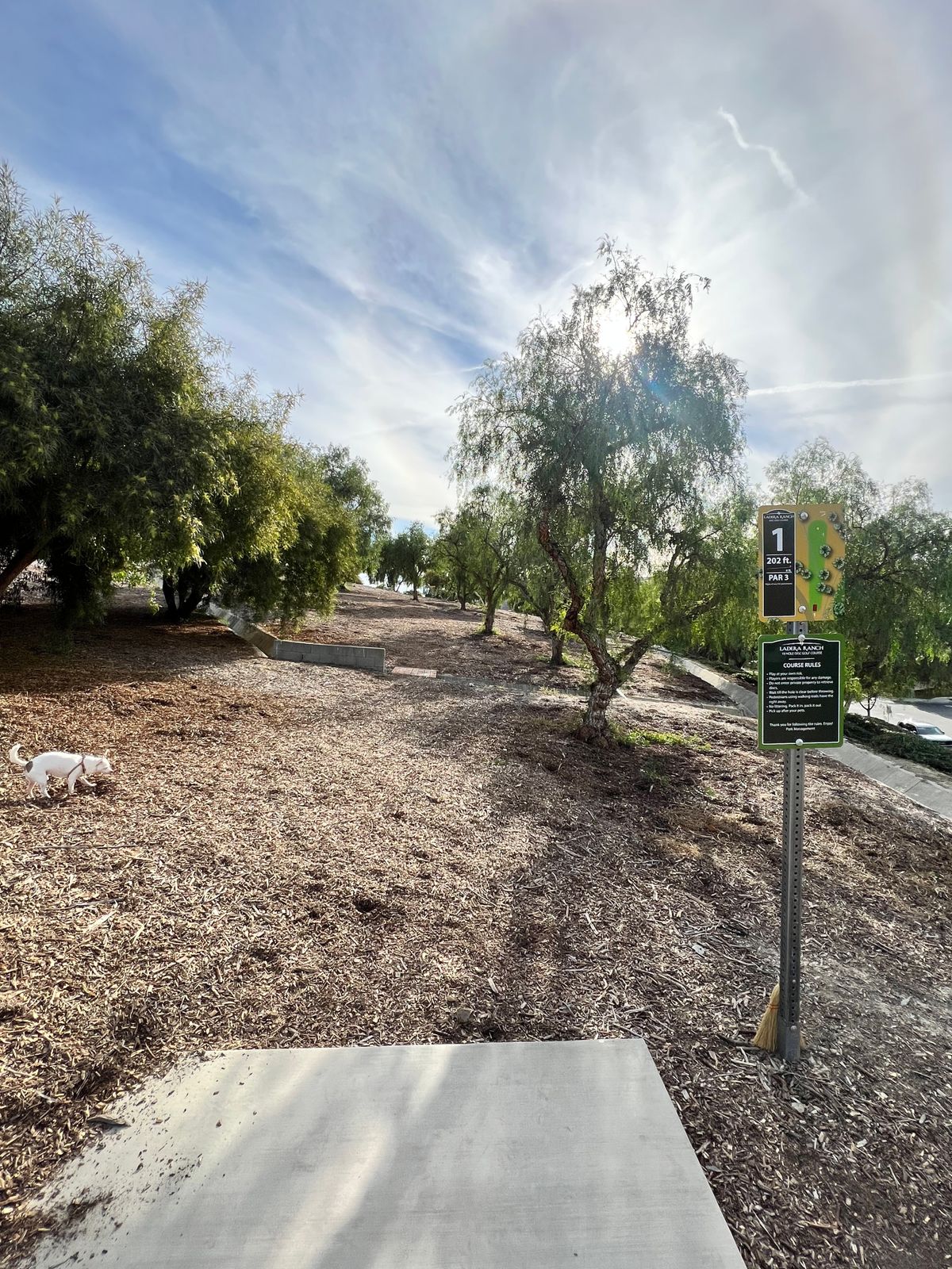 Hole 1