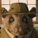 kylieopossum