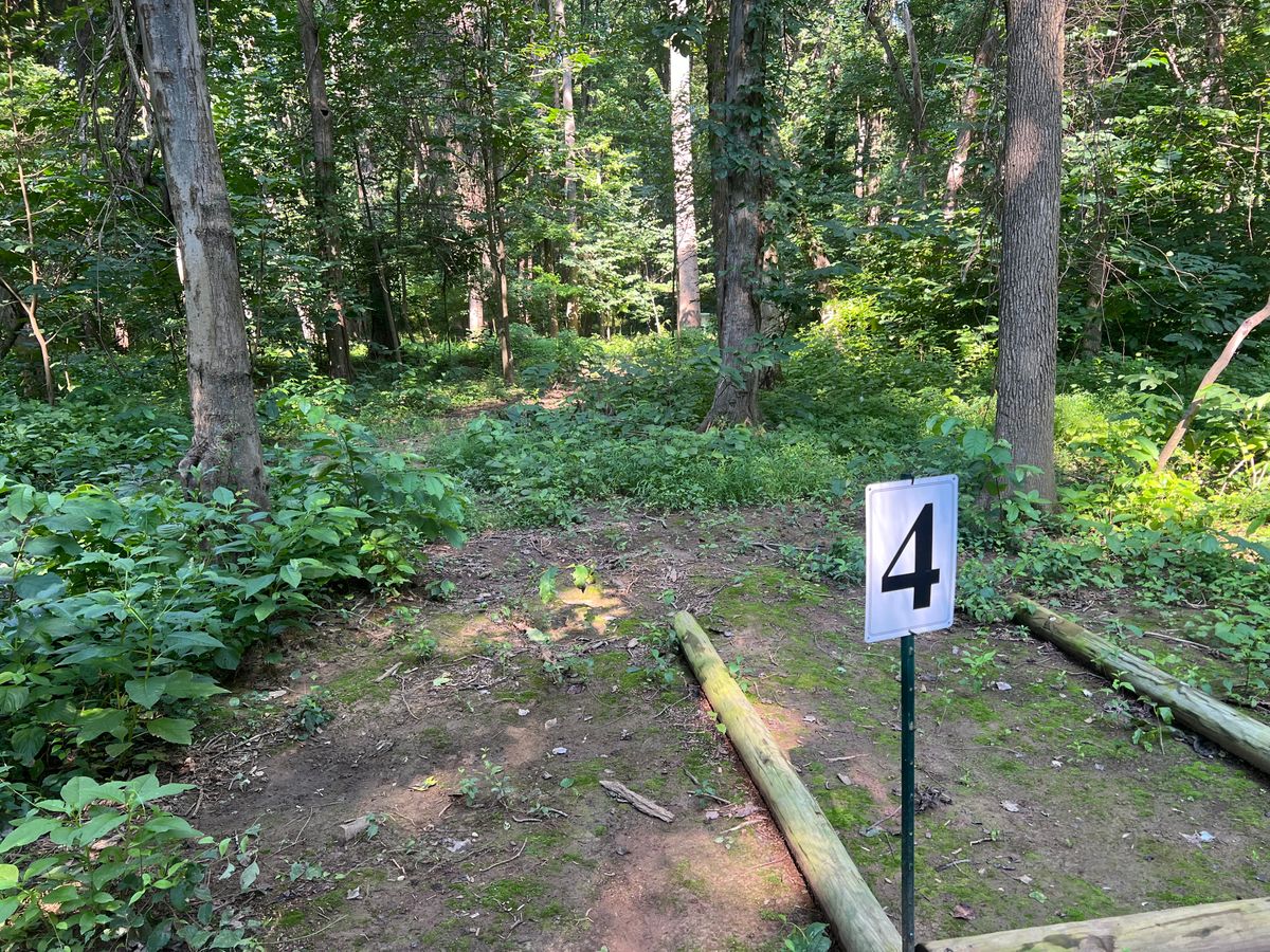 Hole 4 Tee