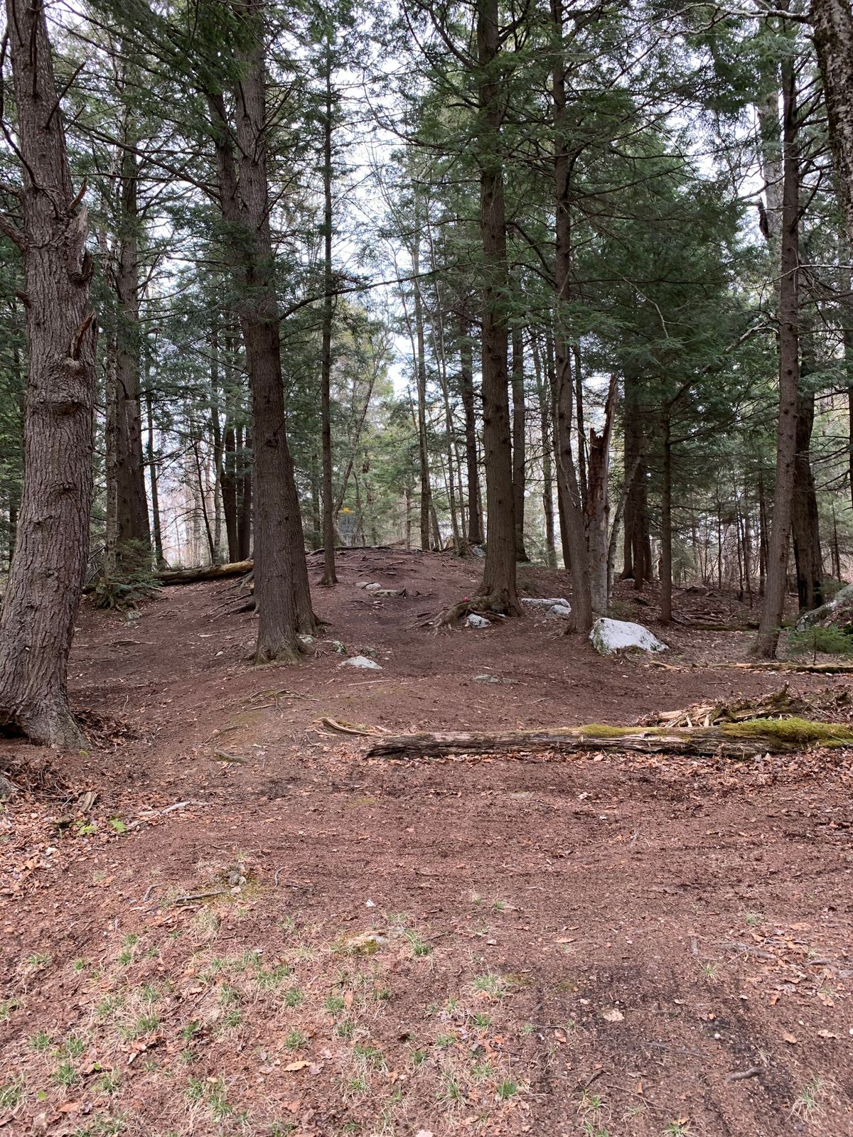 Hole 6 looking very clean!