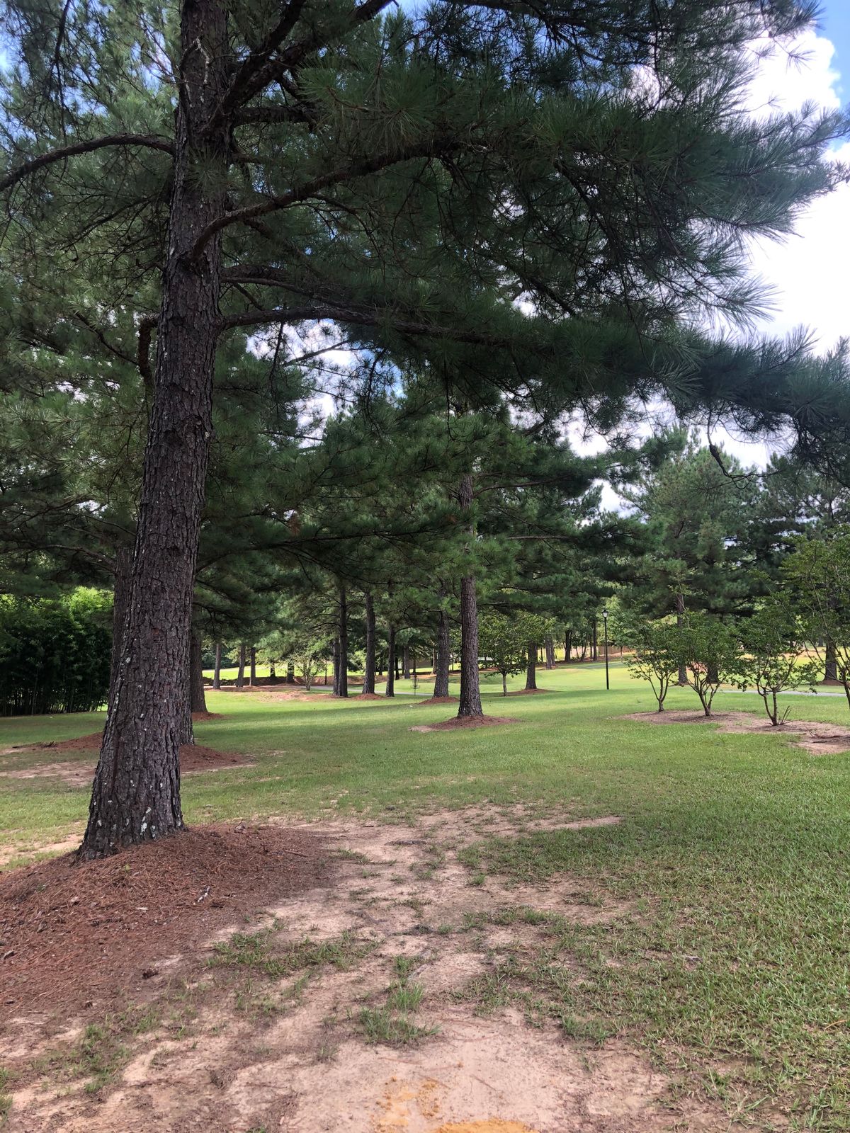 Hole 14