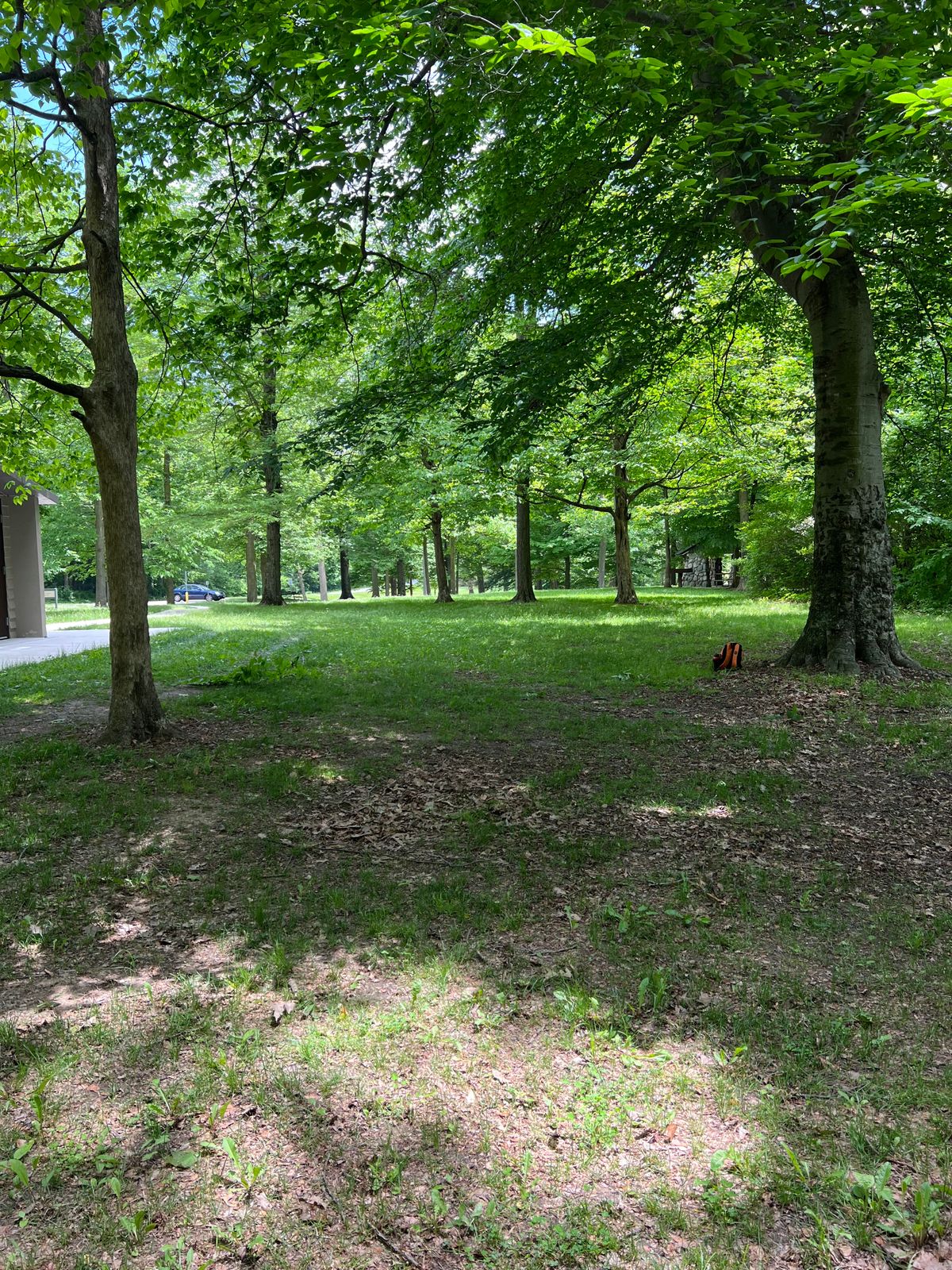 Hole 3 Yellow Tee