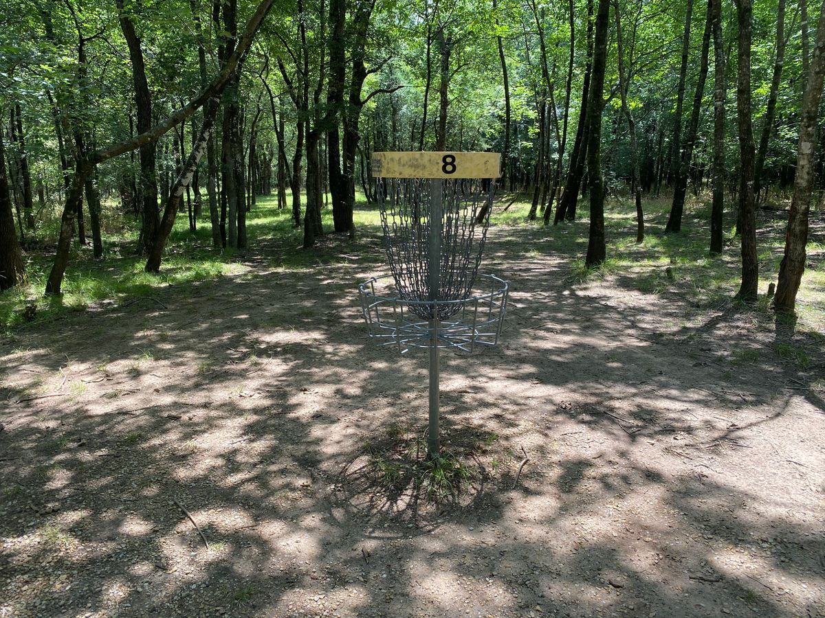 Hole 8 Basket