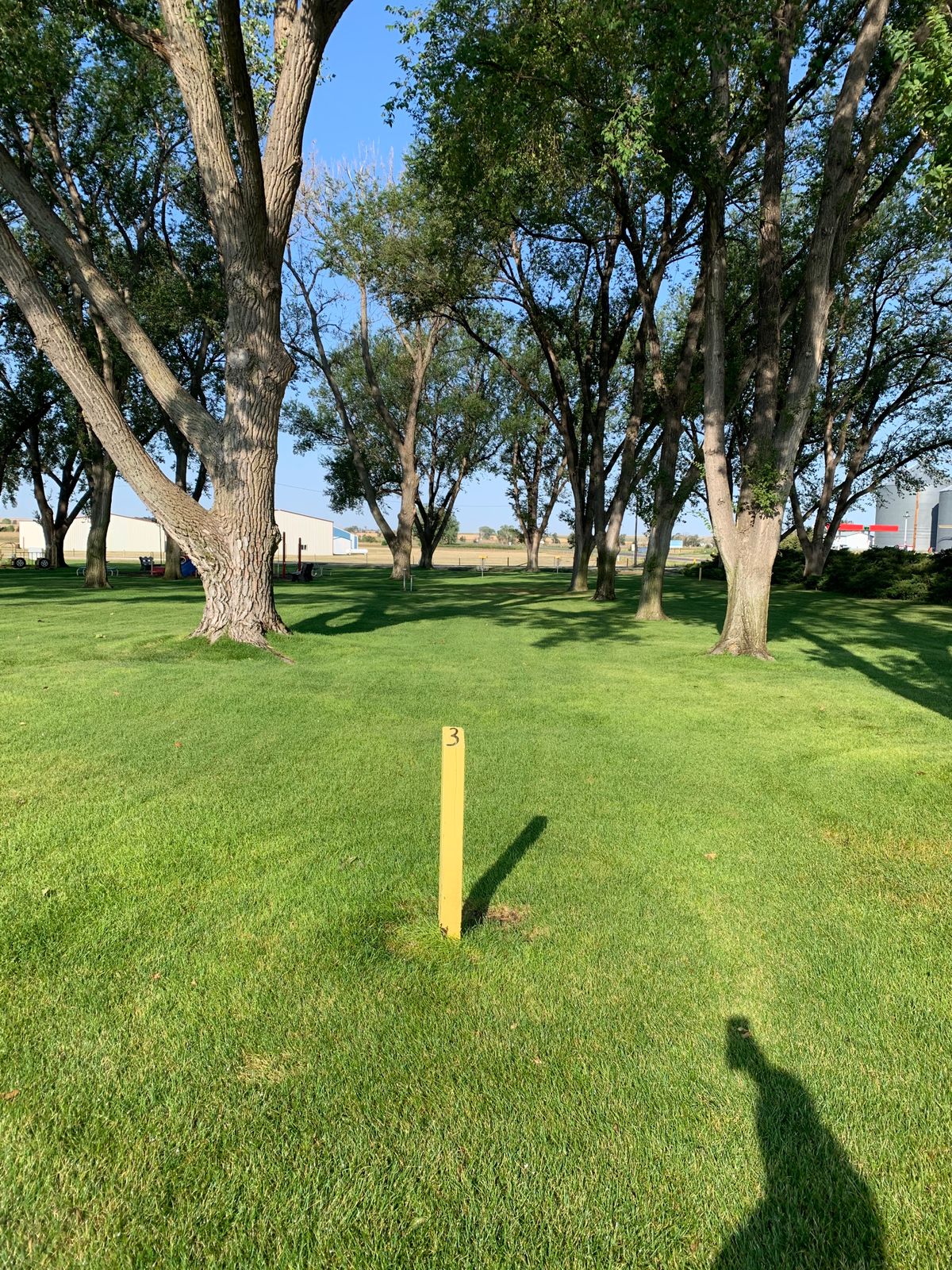 Hole 3 tee area