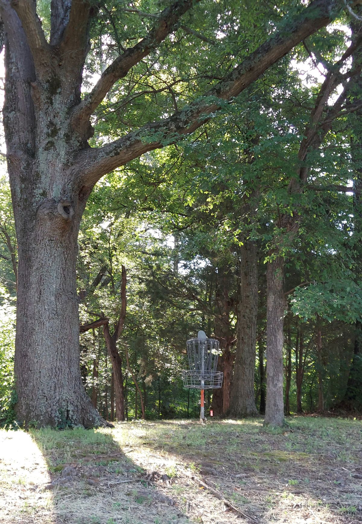 Backside of 18.