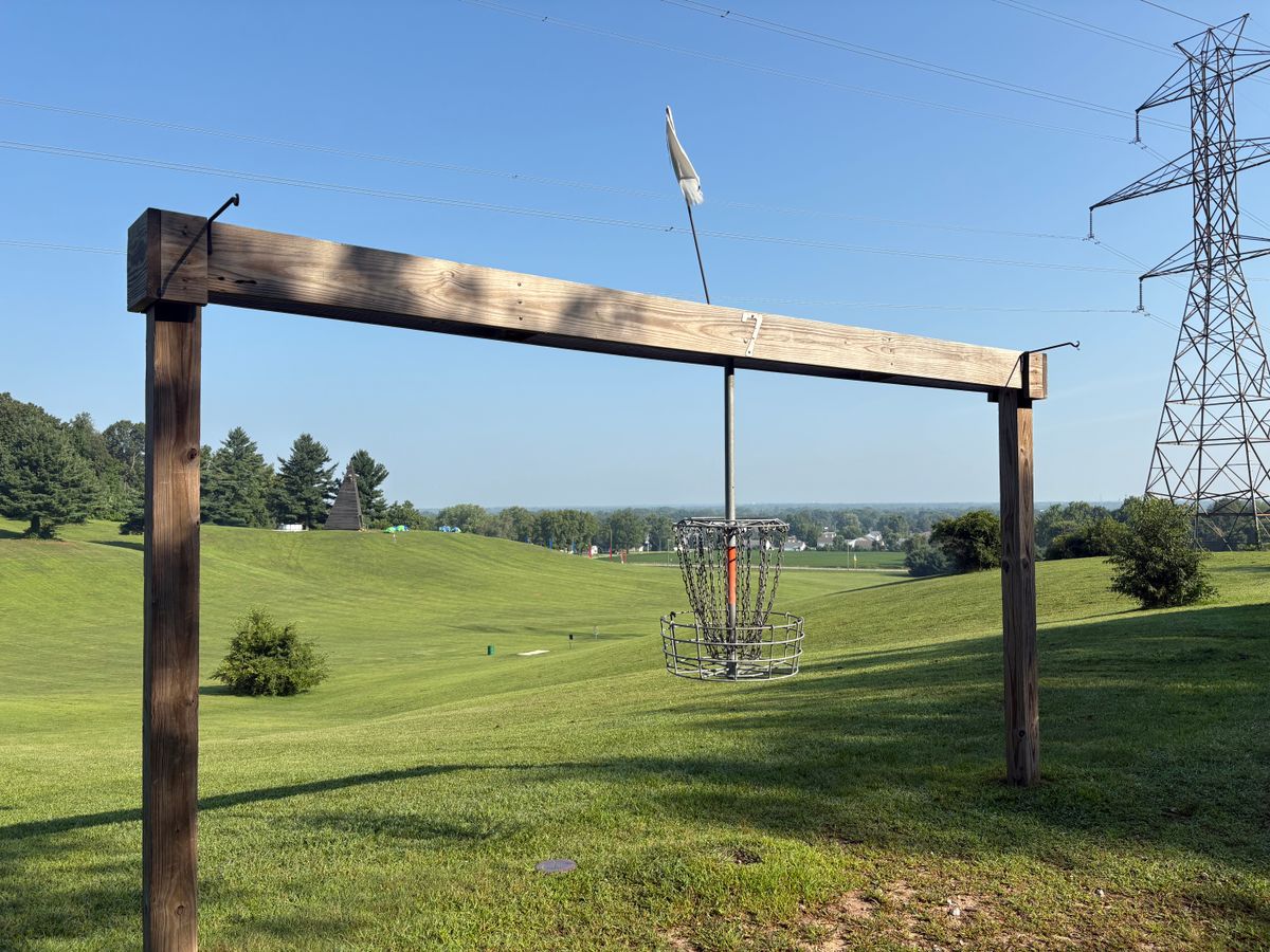 Hanging basket on 7