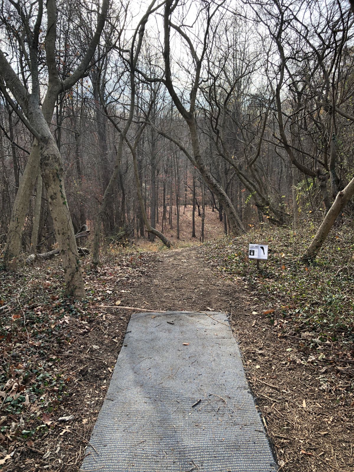 Hole 8 tee