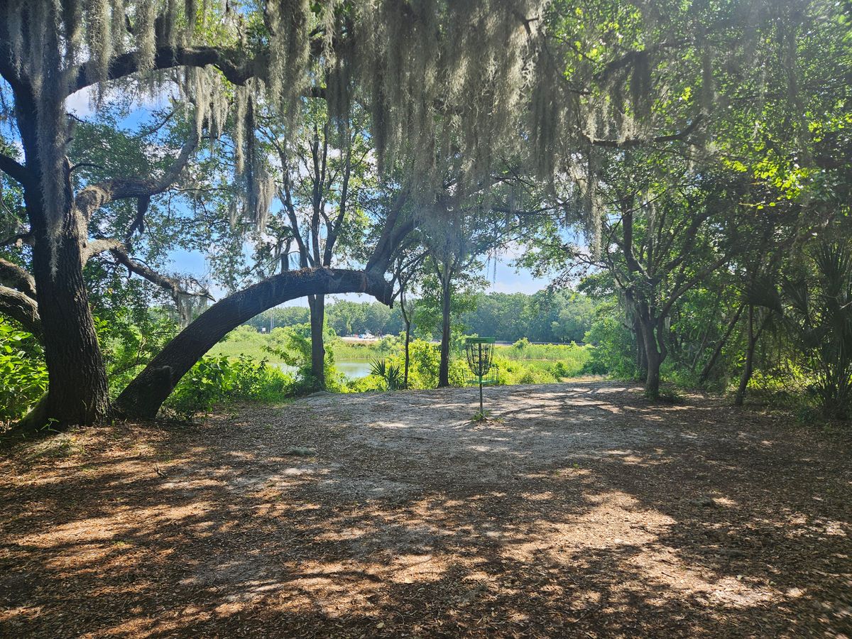 hole 10 green