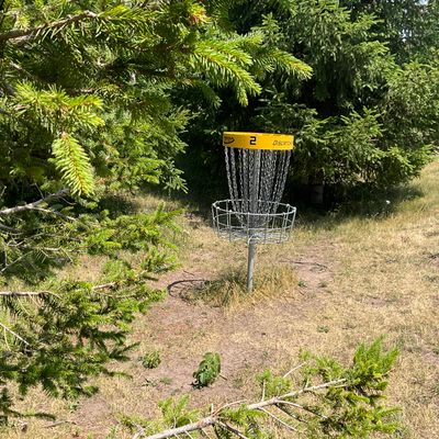 #2 hidden in the pines.
