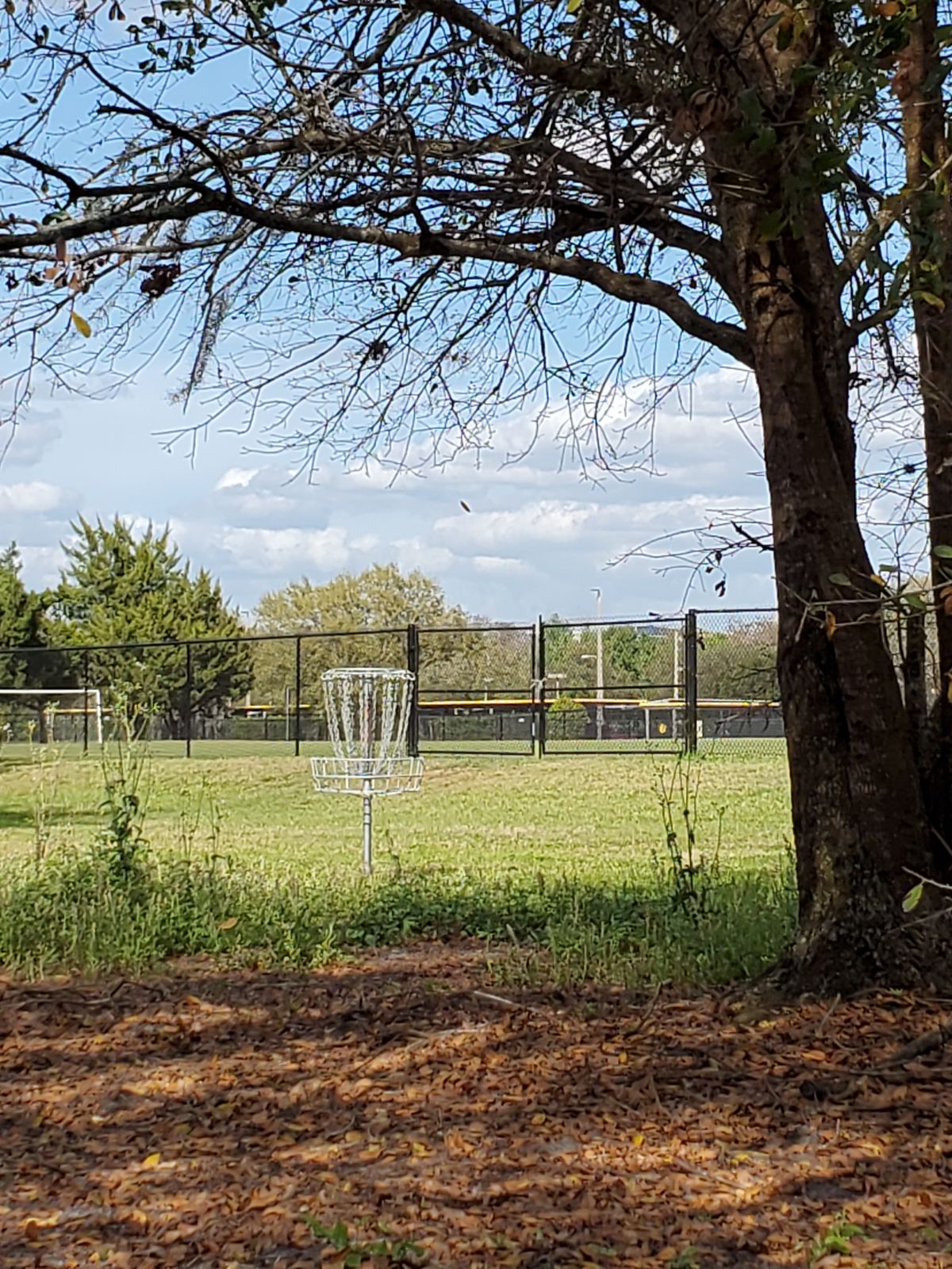 Practice basket across sidewalk from blue tee hole 1