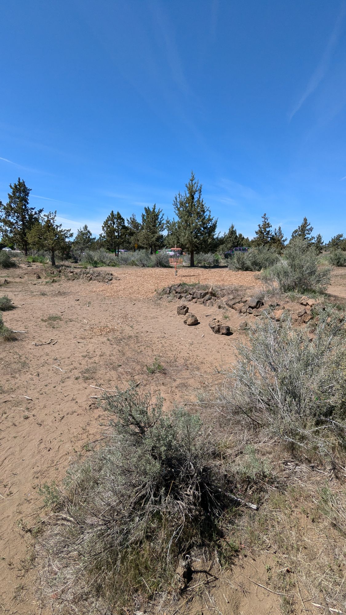 Hole 15