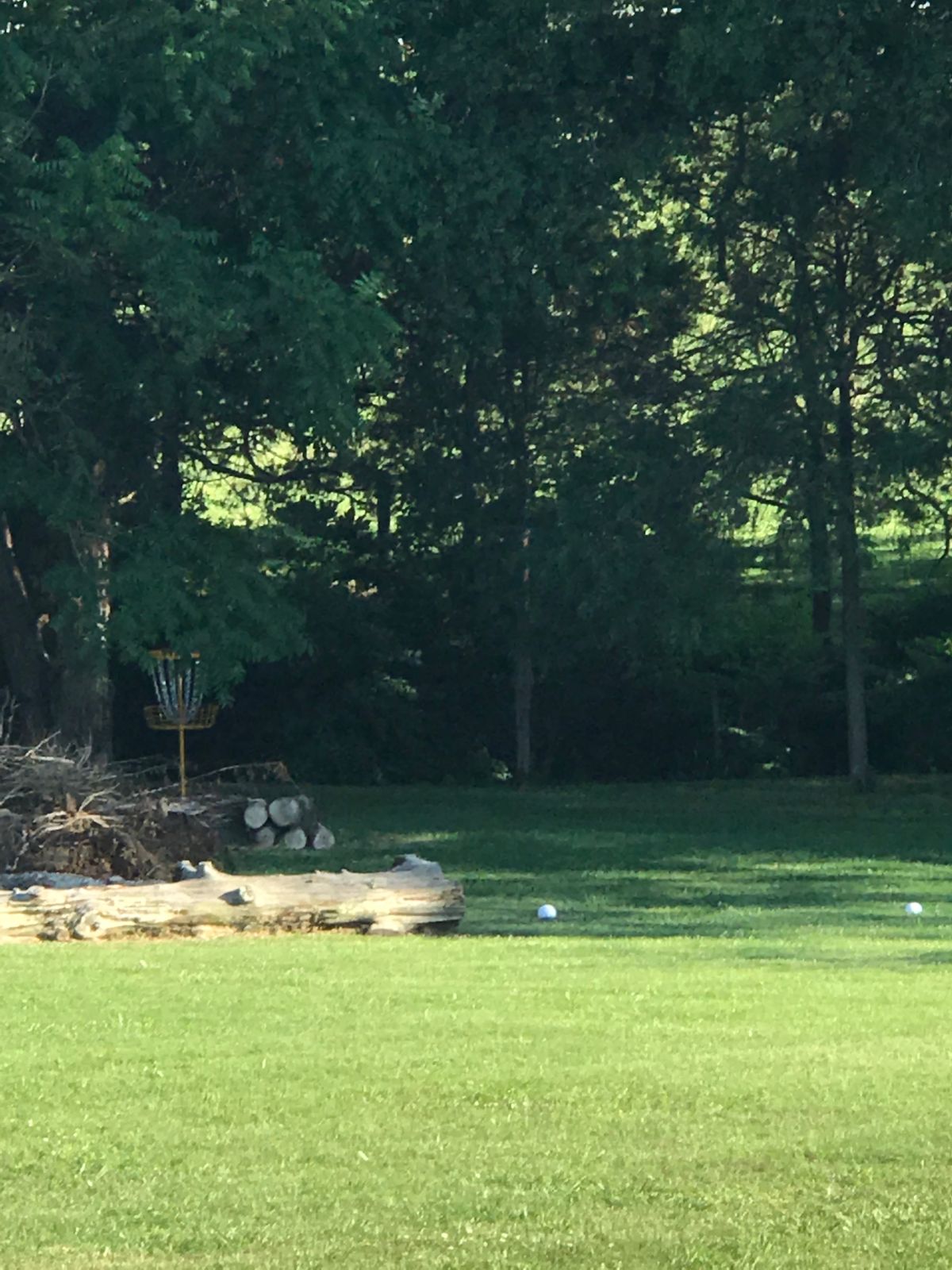 Basket for hole 1, 524 ft. Par 4. In the woods by the creek.