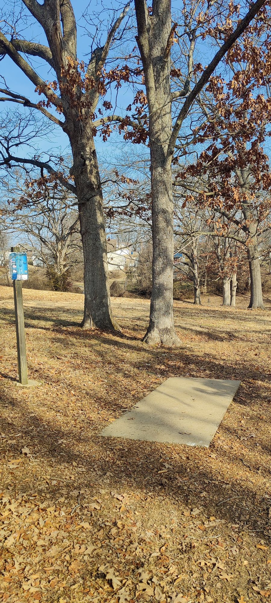 Hole 3