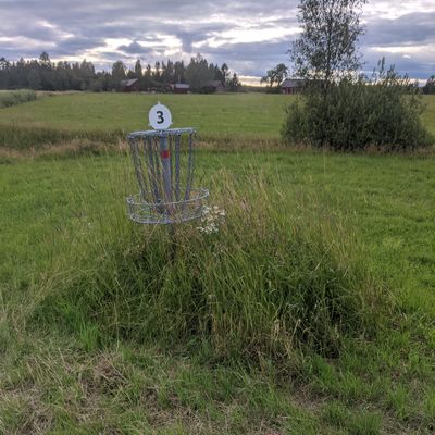 Övervuxet vid bana 3.
