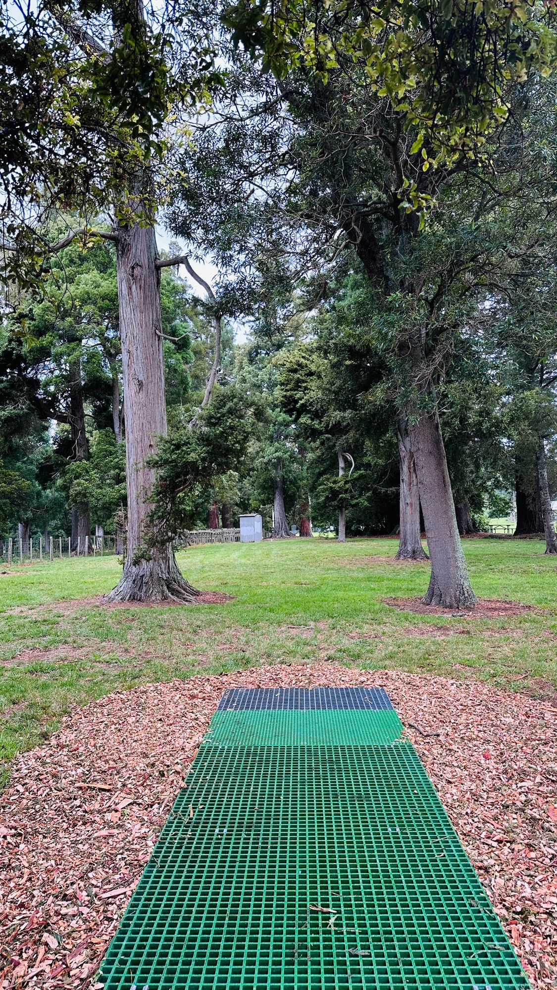 Disc Shop NZ - Proto-Tee Pad #7