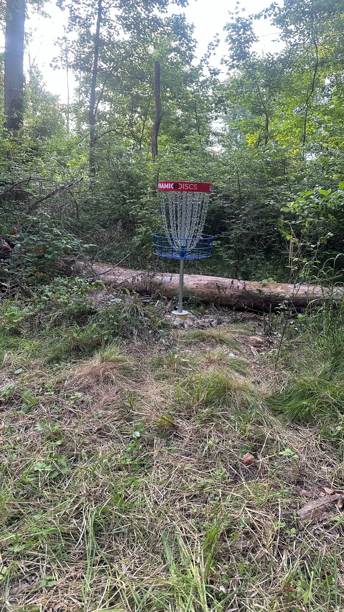 Hole 8 Basket

After this take the same jump trail you took on Hole 4 to get to Hole 8