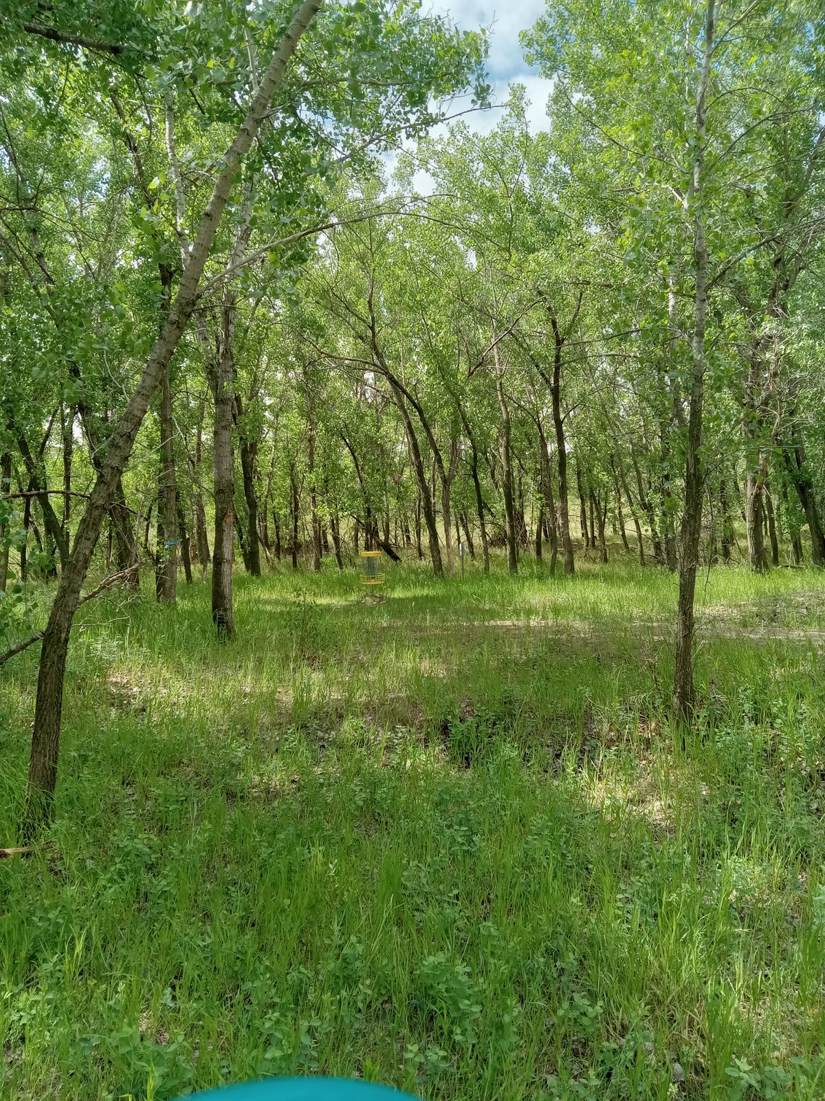 Hole 4