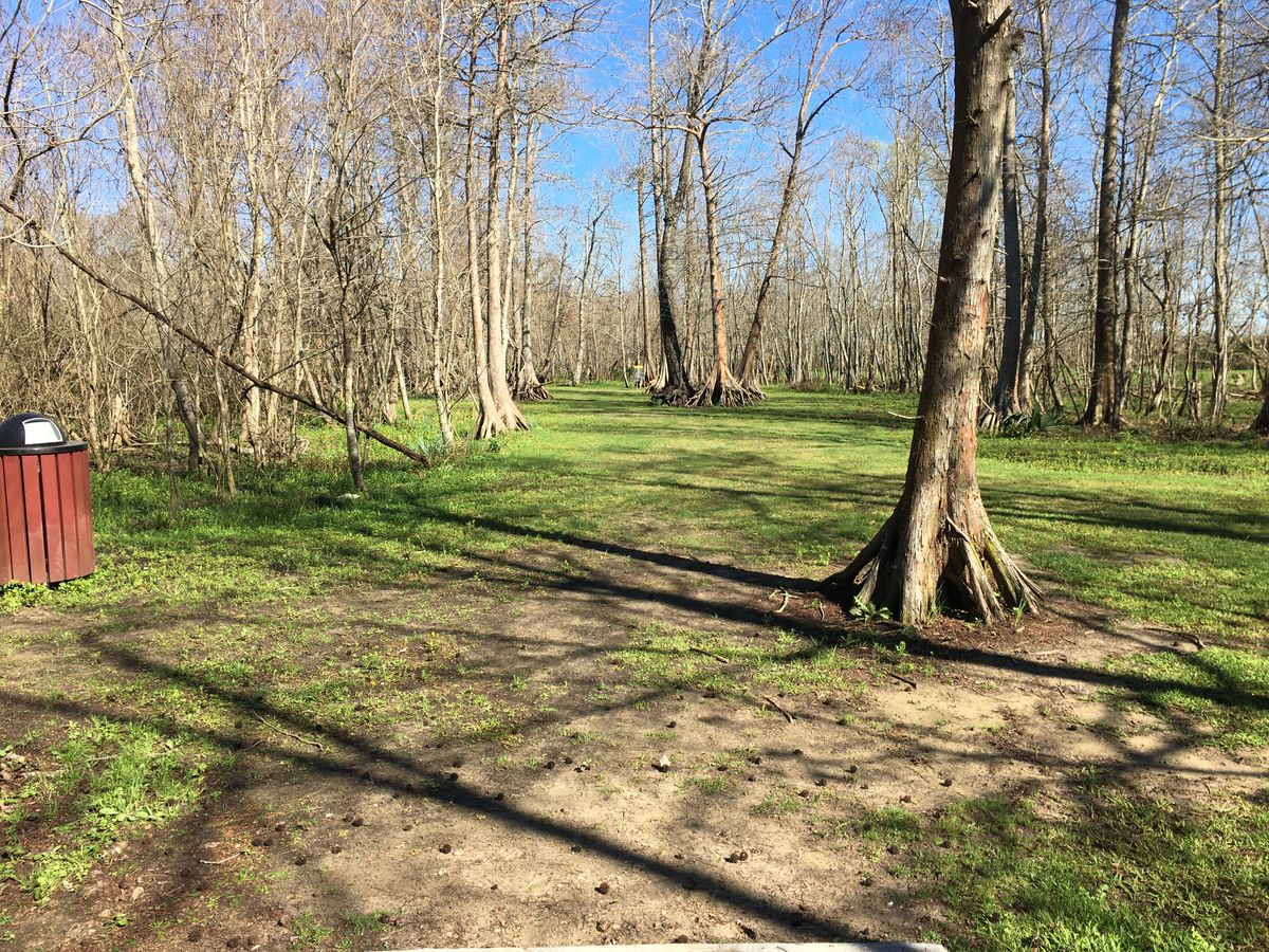 Hole 1 Red Tee