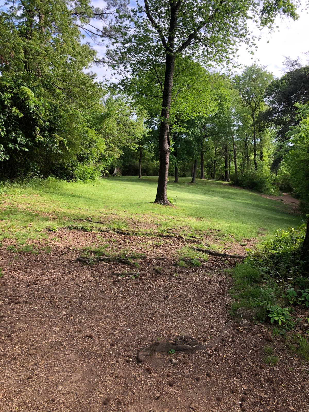 Hole 11