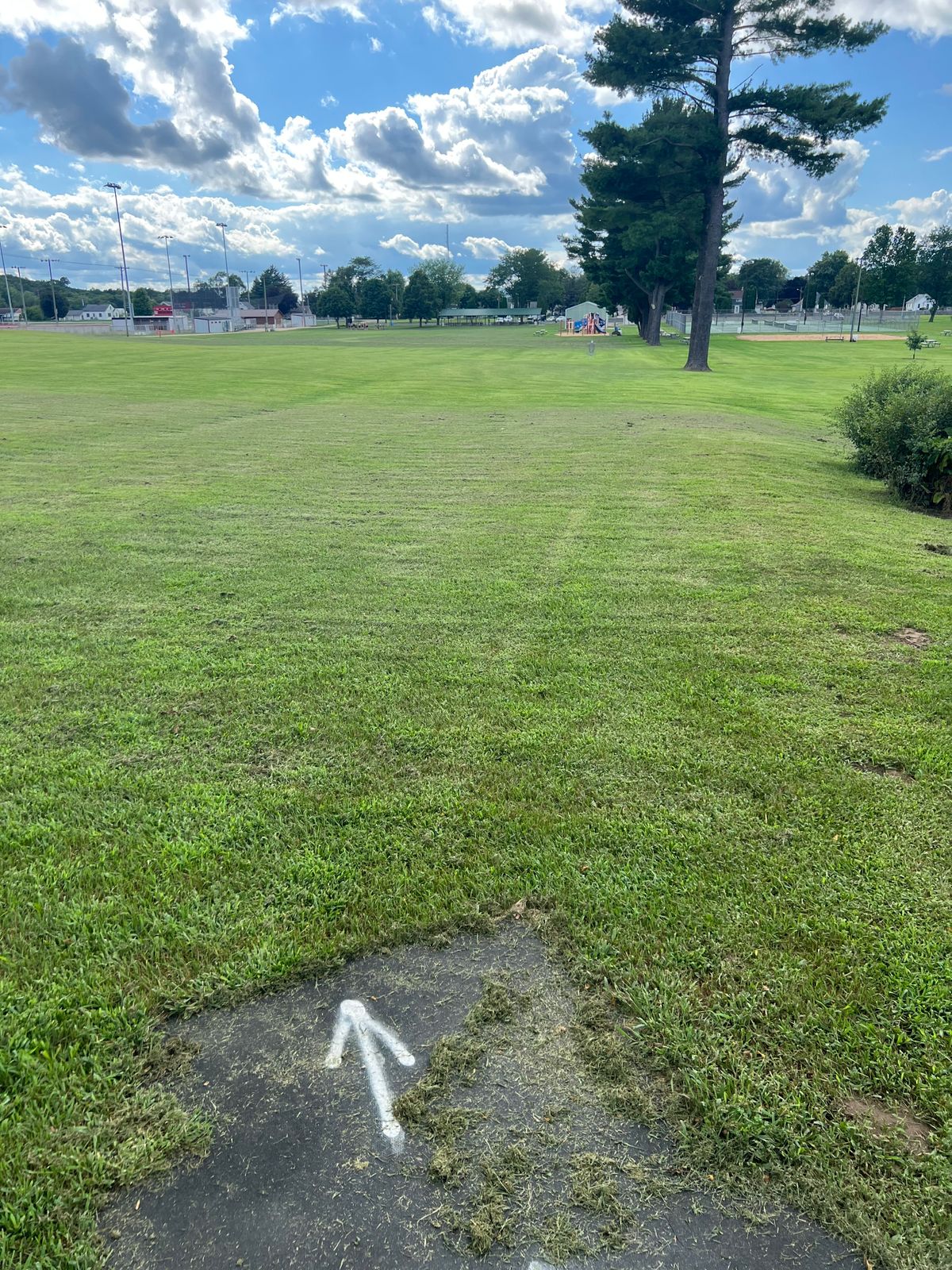 Hole in 15 Tee