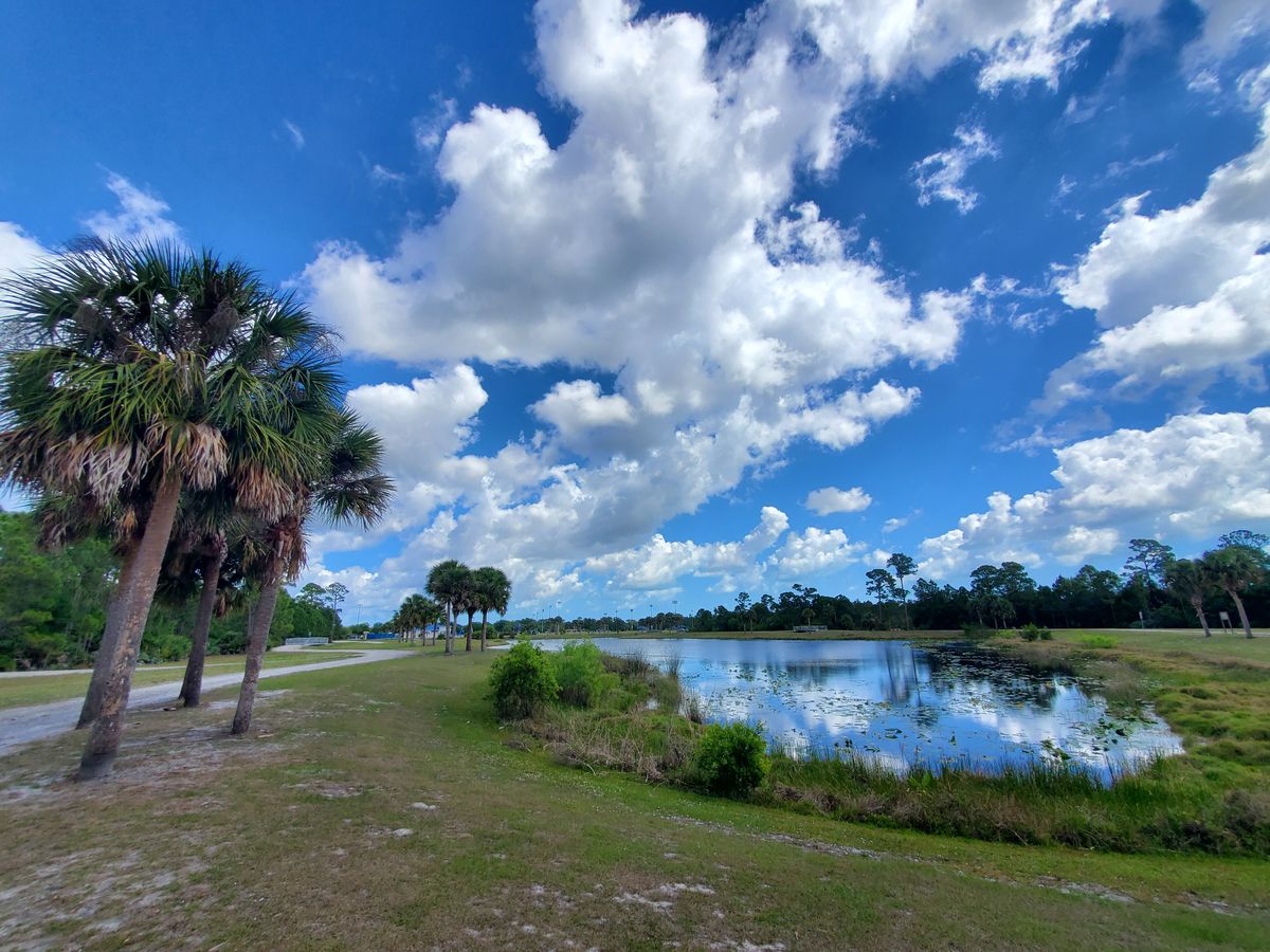 The pond hole at #10.  Pro Tee to the right over the water...Novice Tee next to the group of palms to the left.