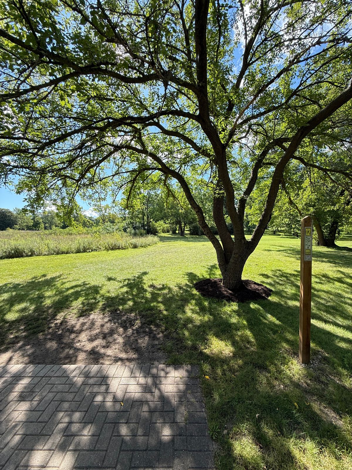 Tee 12 - basket at end of dogleg to the right